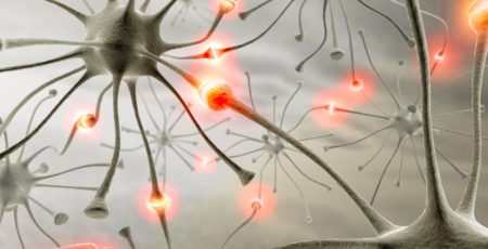 neuroni e sinapsi